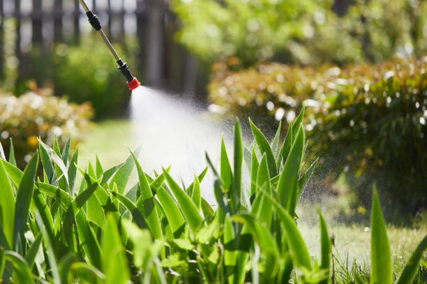 Void Injection for Cockroach Colonies in Country Knolls