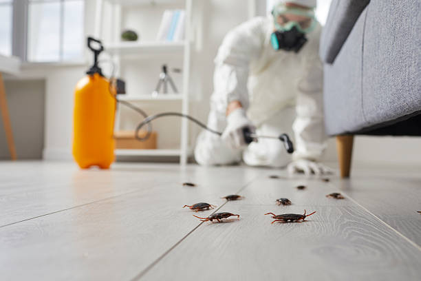 Commercial Kitchen Cockroach Control in Country Knolls